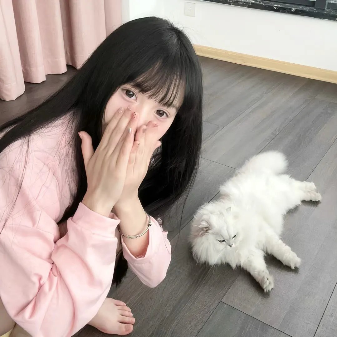 锦囊妙录